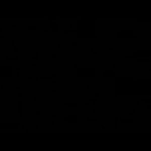 Meet your Posher, Mariam